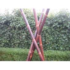 Bamboepaal black 270 cm Bamboepaal black 270 cm